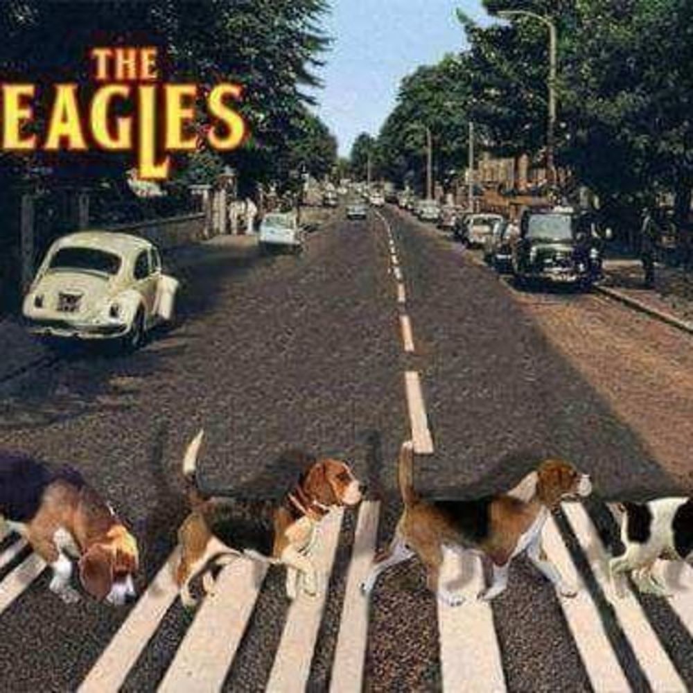 Meet your Posher, Tanya